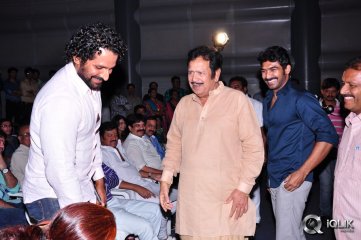 Man Of The Match Movie Audio Launch